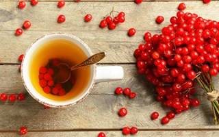 Калиновое масло в домашних условиях