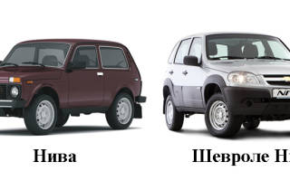 Нива или шнива что выбрать